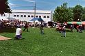 Bullwhip Fast Draw